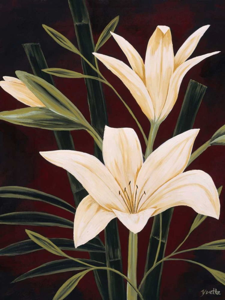 Wall Art Painting id:12827, Name: Botanical Elegance I, Artist: St. Amant, Yvette