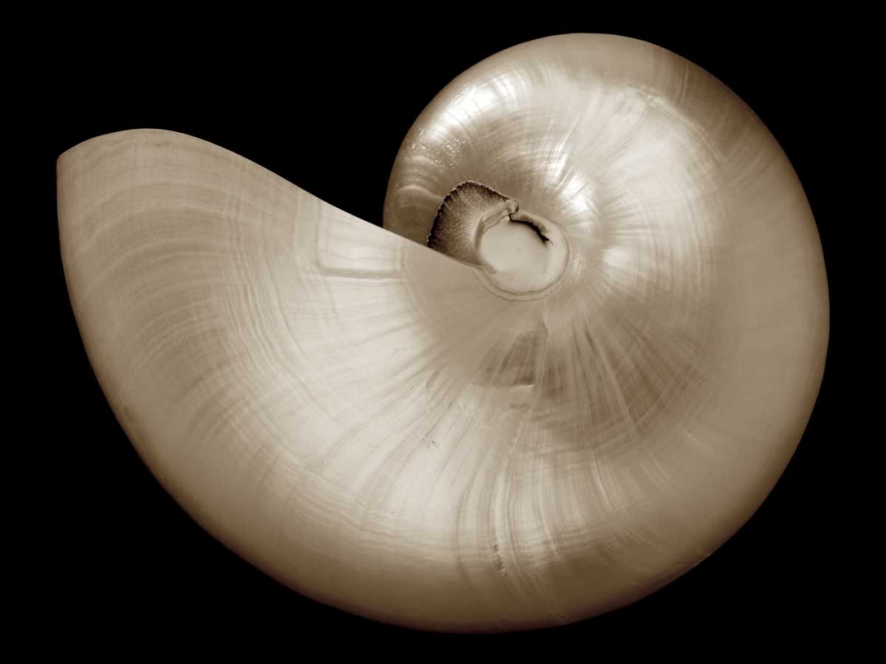 Similar wall art painting: 12894