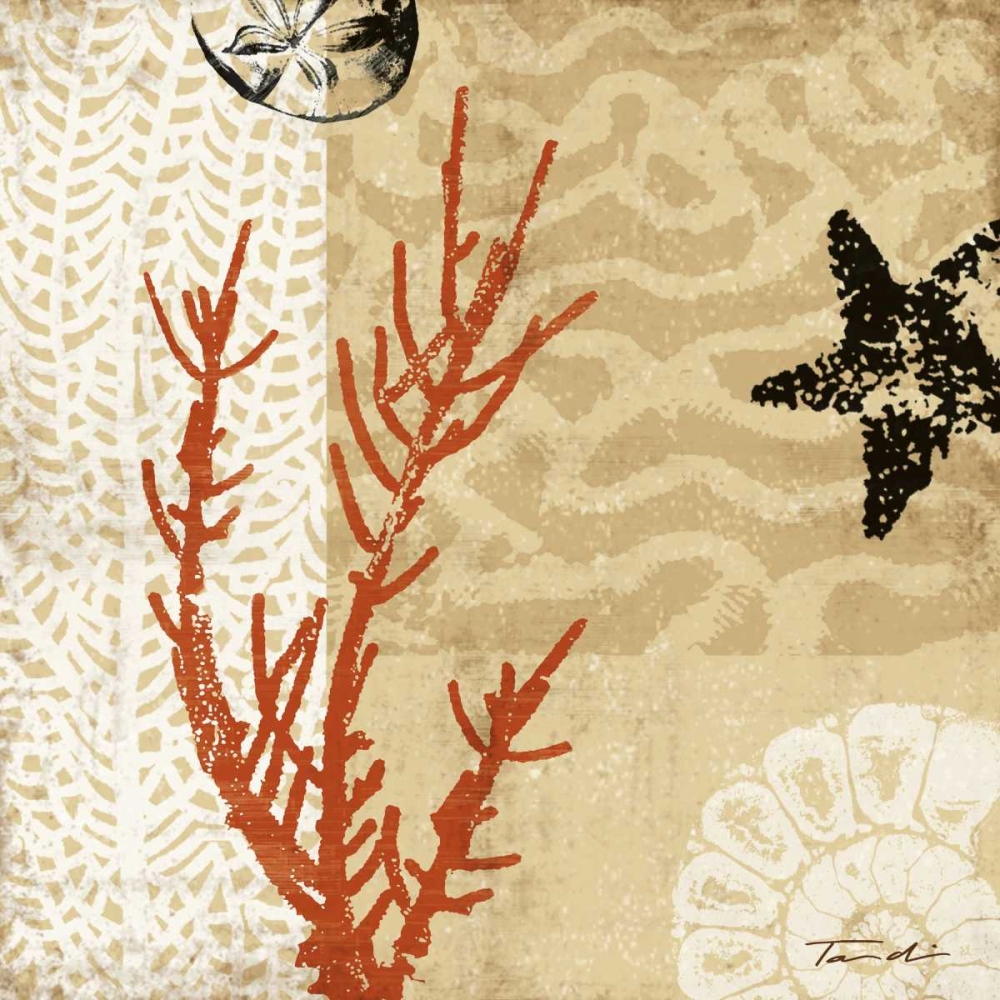 Wall art: Coral Impressions I, by Venter, Tandi