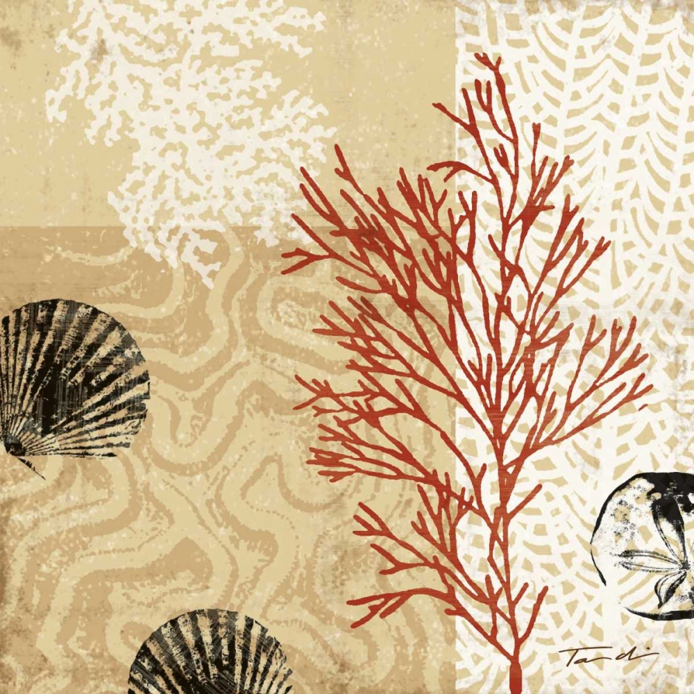 Wall art: Coral Impressions II, by Venter, Tandi