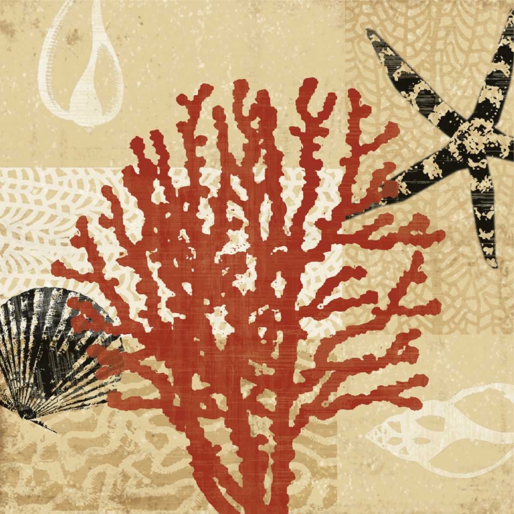 Wall art: Coral Impressions III, by Venter, Tandi