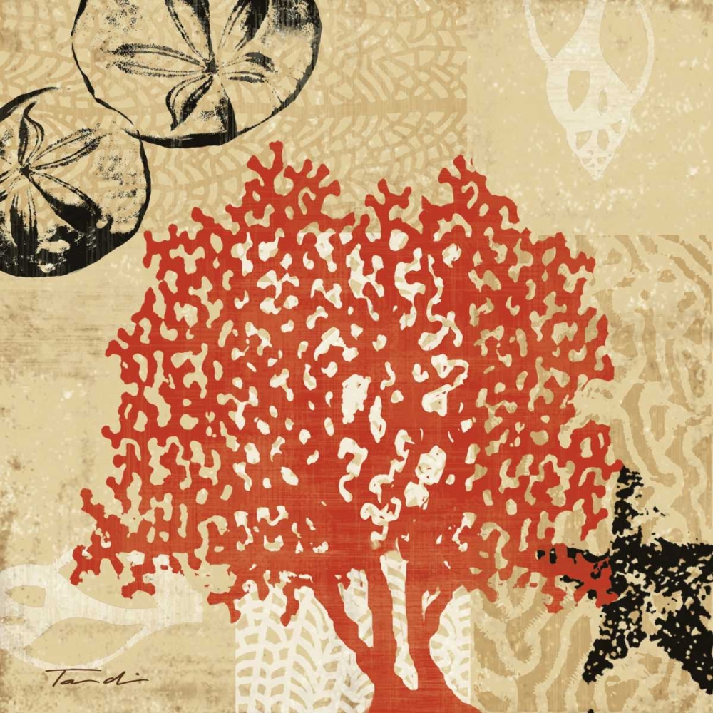 Wall art: Coral Impressions IV, by Venter, Tandi