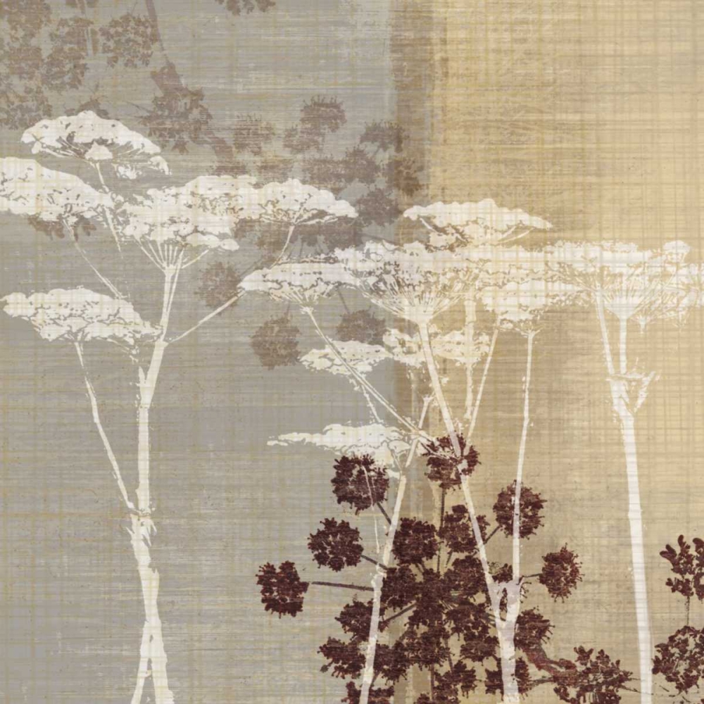Wall Art Painting id:11755, Name: Lace I, Artist: Venter, Tandi
