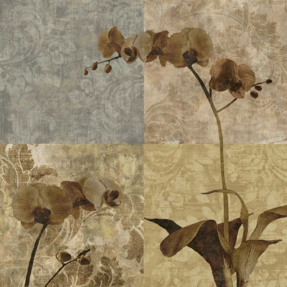 Wall Art Painting id:11767, Name: Heirloom II, Artist: Mallett, Keith