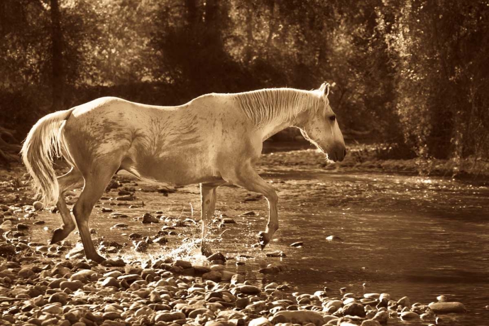 Art Print: The Crossing