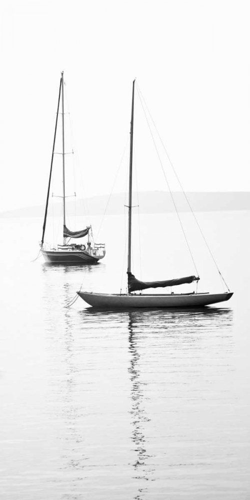 Wall art: Still Waters II, by Maihara/Watt, Jeff/Boyce