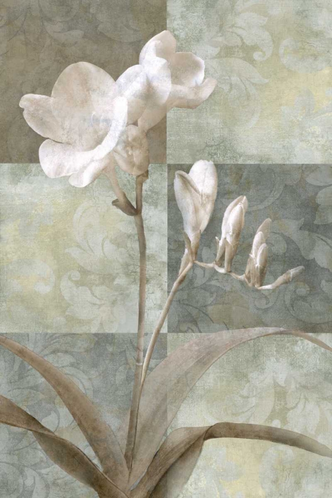 Wall Art Painting id:11778, Name: Memento I, Artist: Mallett, Keith