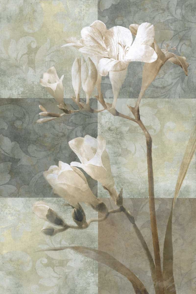 Wall Art Painting id:11779, Name: Memento II, Artist: Mallett, Keith