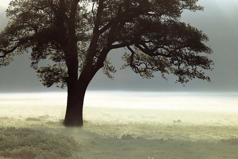 Wall Art Painting id:11222, Name: Enlighten Me, Artist: Frank, Assaf