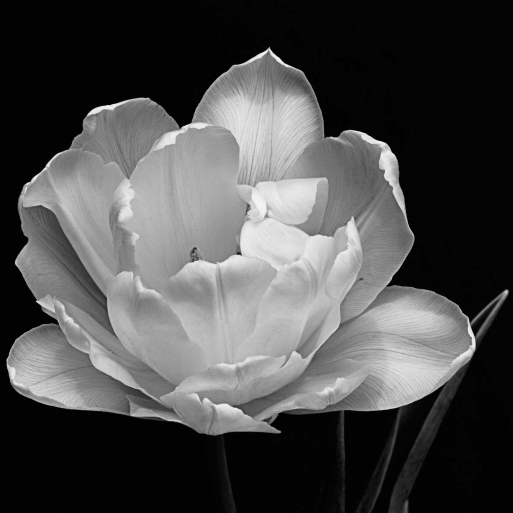 Similar wall art painting: 13087