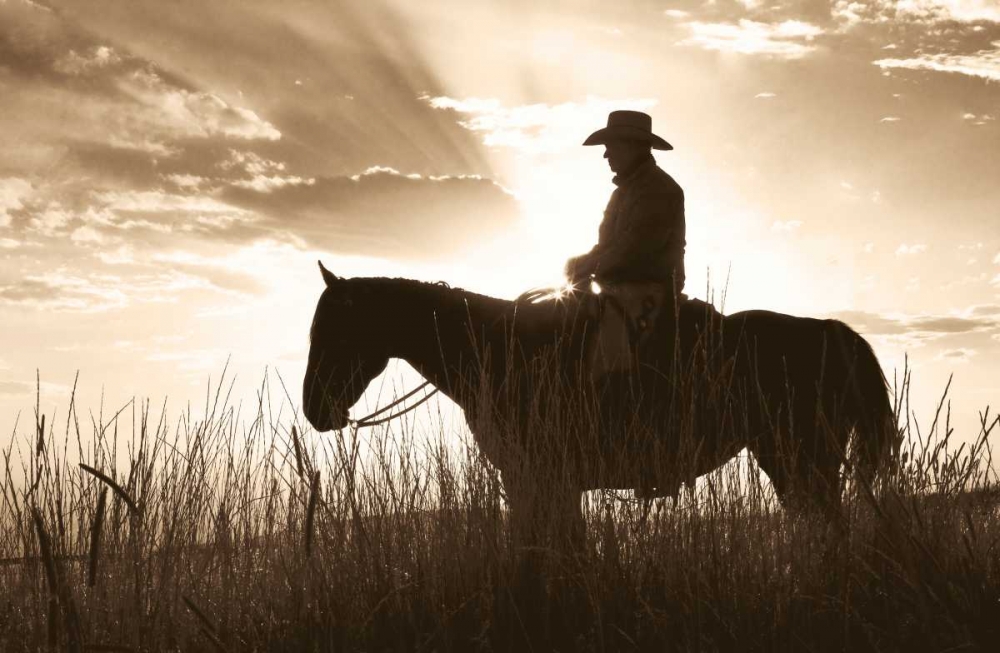 Similar wall art painting: 12915