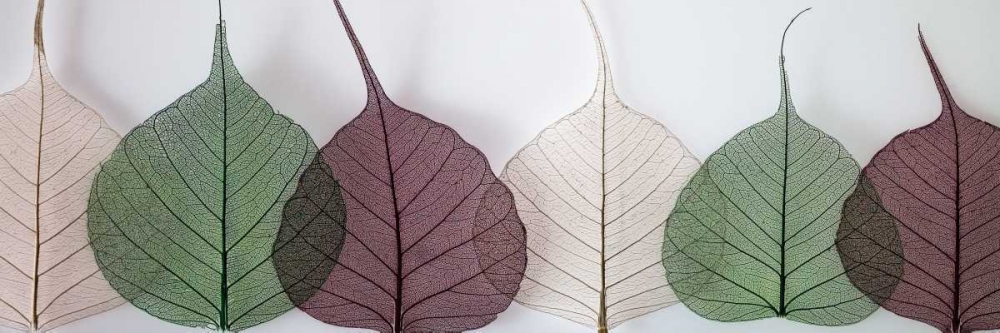 Wall Art Painting id:36127, Name: Leafy Address, Artist: Frank, Assaf