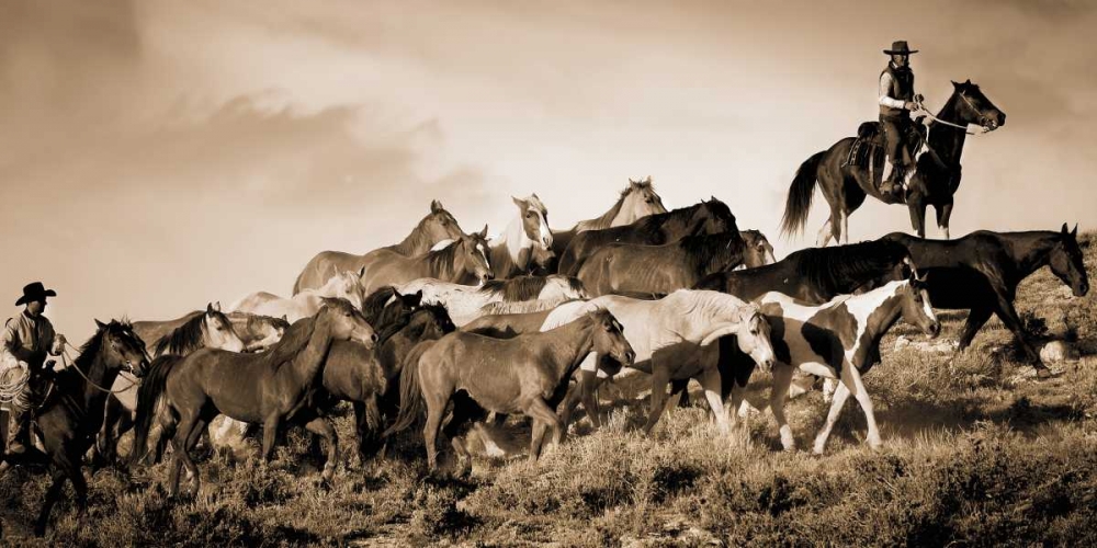 Art Print: Gathering The Herd