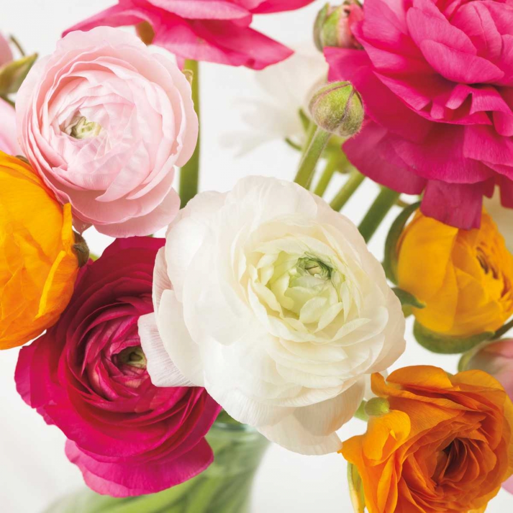 Wall Art Painting id:36192, Name: Burst of Sunshine I, Artist: Frank, Assaf