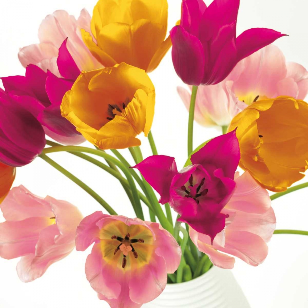 Similar wall art painting: 36193