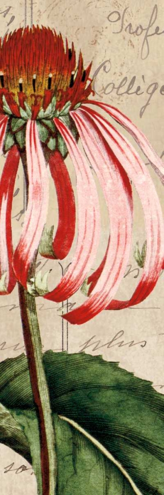 Wall Art Painting id:36306, Name: Jardin Botanique I, Artist: Berg, Sabine