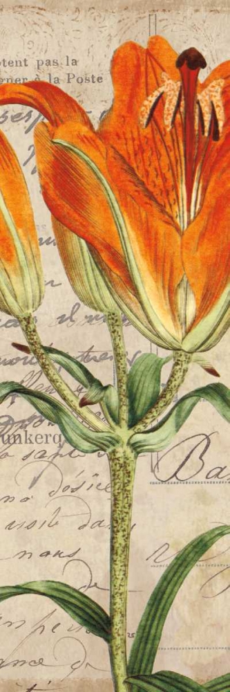 Wall Art Painting id:36307, Name: Jardin Botanique II, Artist: Berg, Sabine