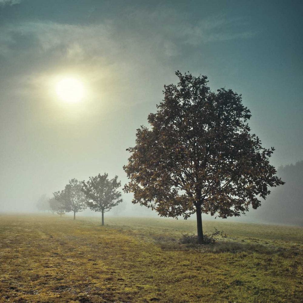 Similar wall art painting: 36325