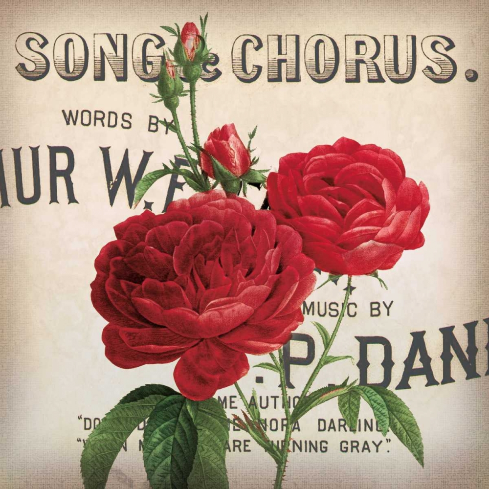 Wall Art Painting id:36332, Name: Scent of a Rose II, Artist: Berg, Sabine