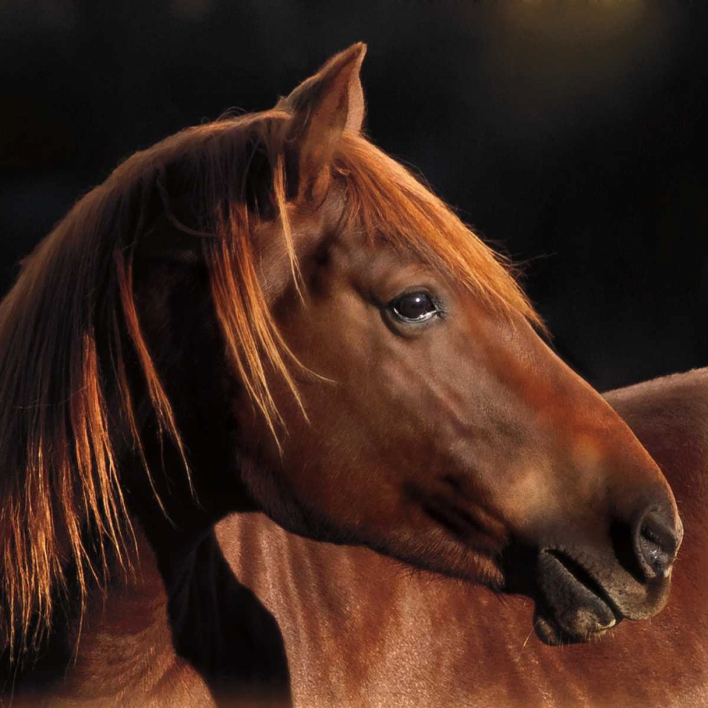 Art Print: Pretty Girl