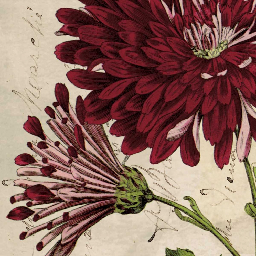 Wall Art Painting id:36384, Name: Joyful Bloom II, Artist: Berg, Sabine