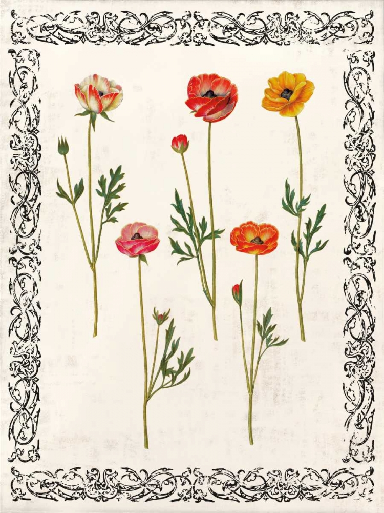 Wall Art Painting id:36406, Name: Spring Blooms II, Artist: Berg, Sabine