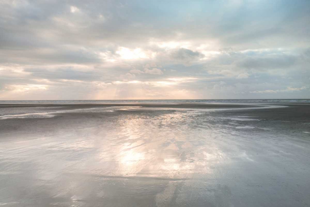 Wall Art Painting id:59864, Name: Silver Sands, Artist: Frank, Assaf