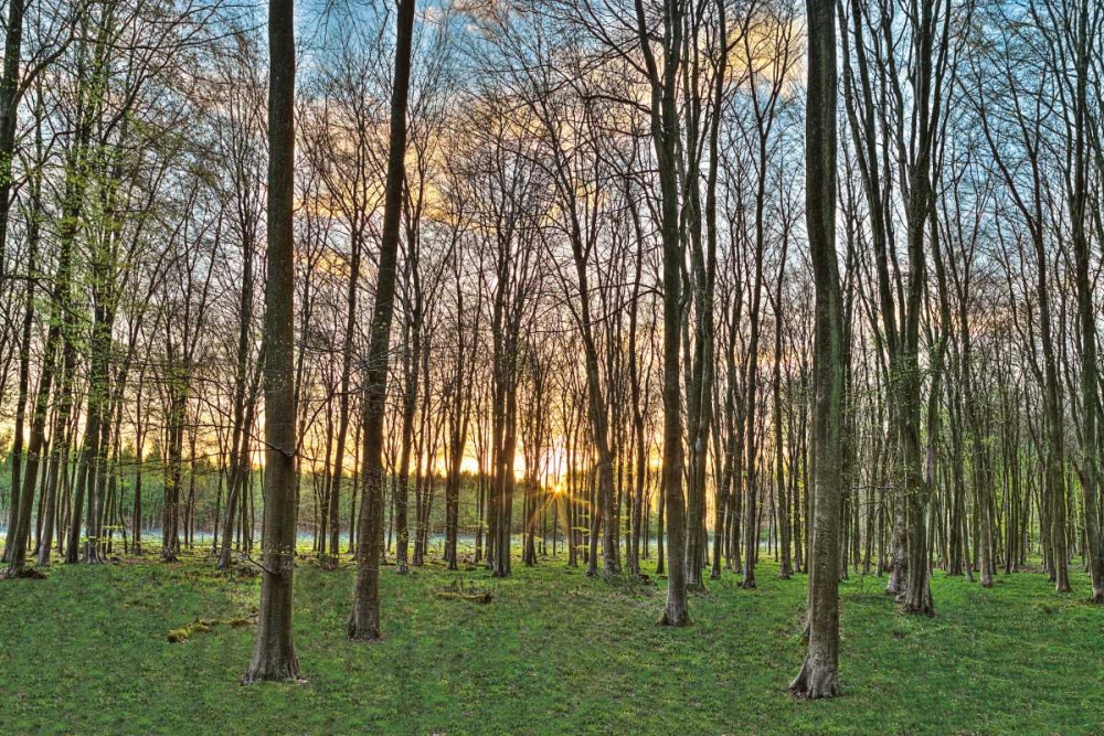 Wall Art Painting id:59866, Name: Secret Sunset, Artist: Frank, Assaf