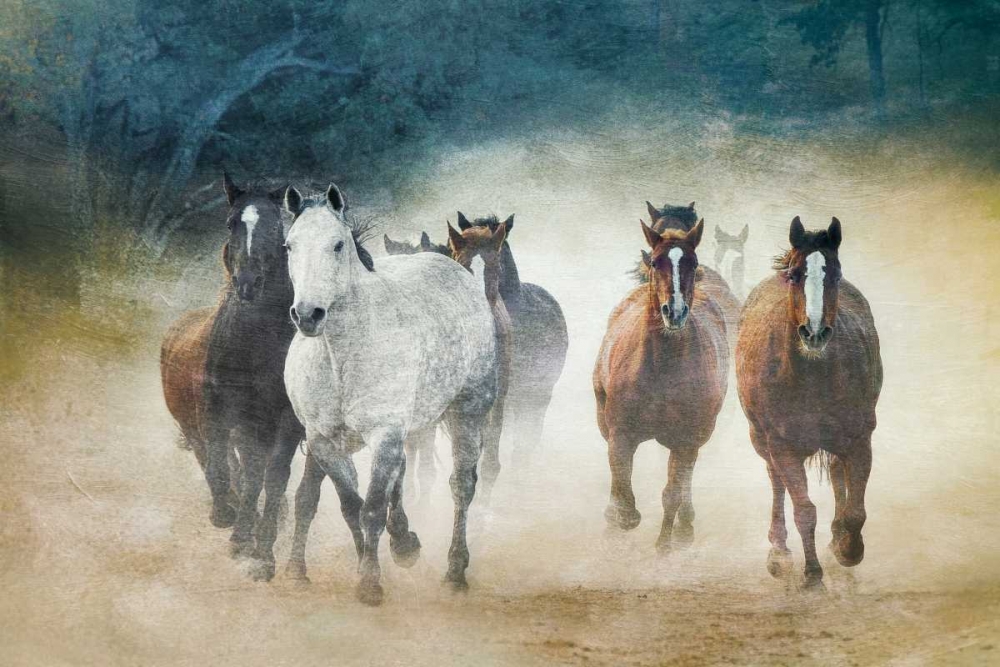 Art Print: Dust Devils