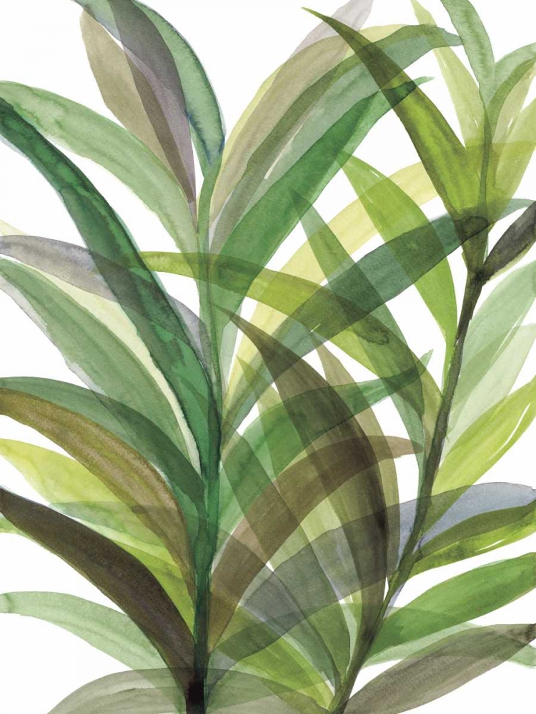 Art Print: Tropical Greens II