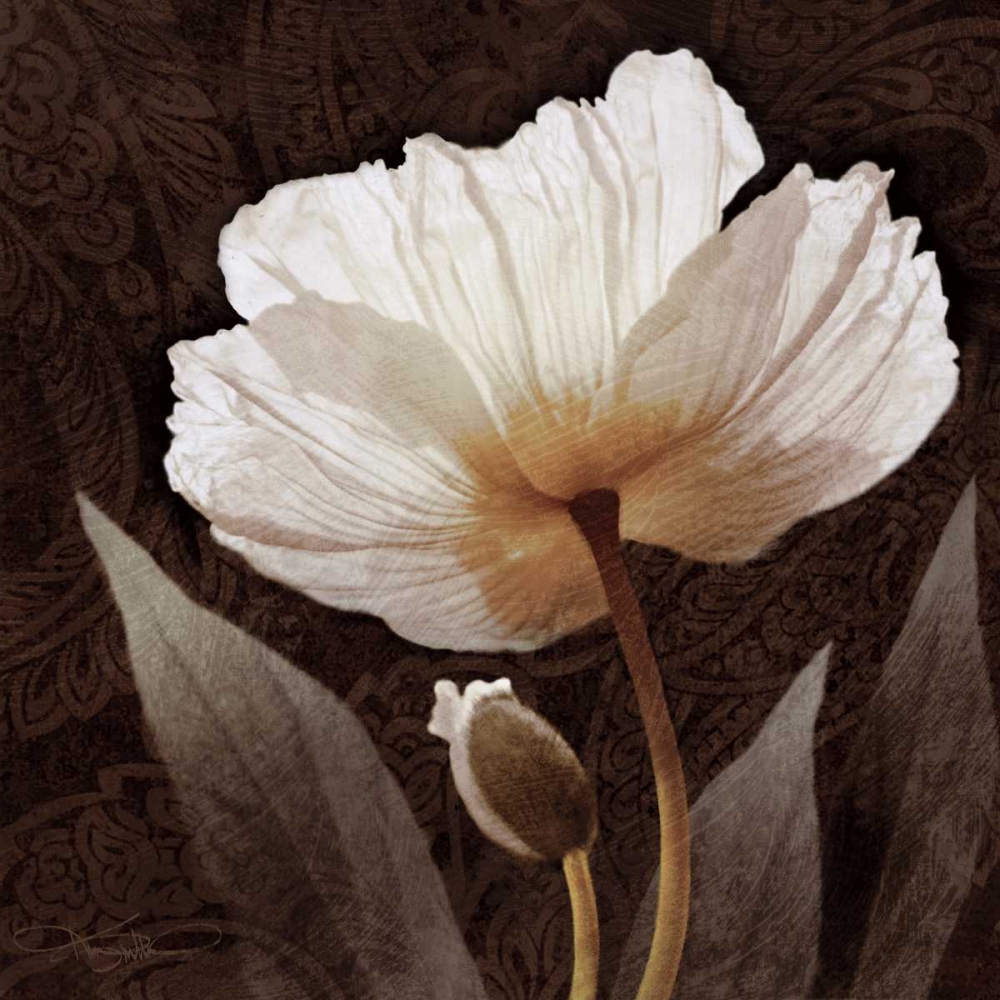 Wall Art Painting id:11254, Name: Paisley Poppy I, Artist: Mallett, Keith