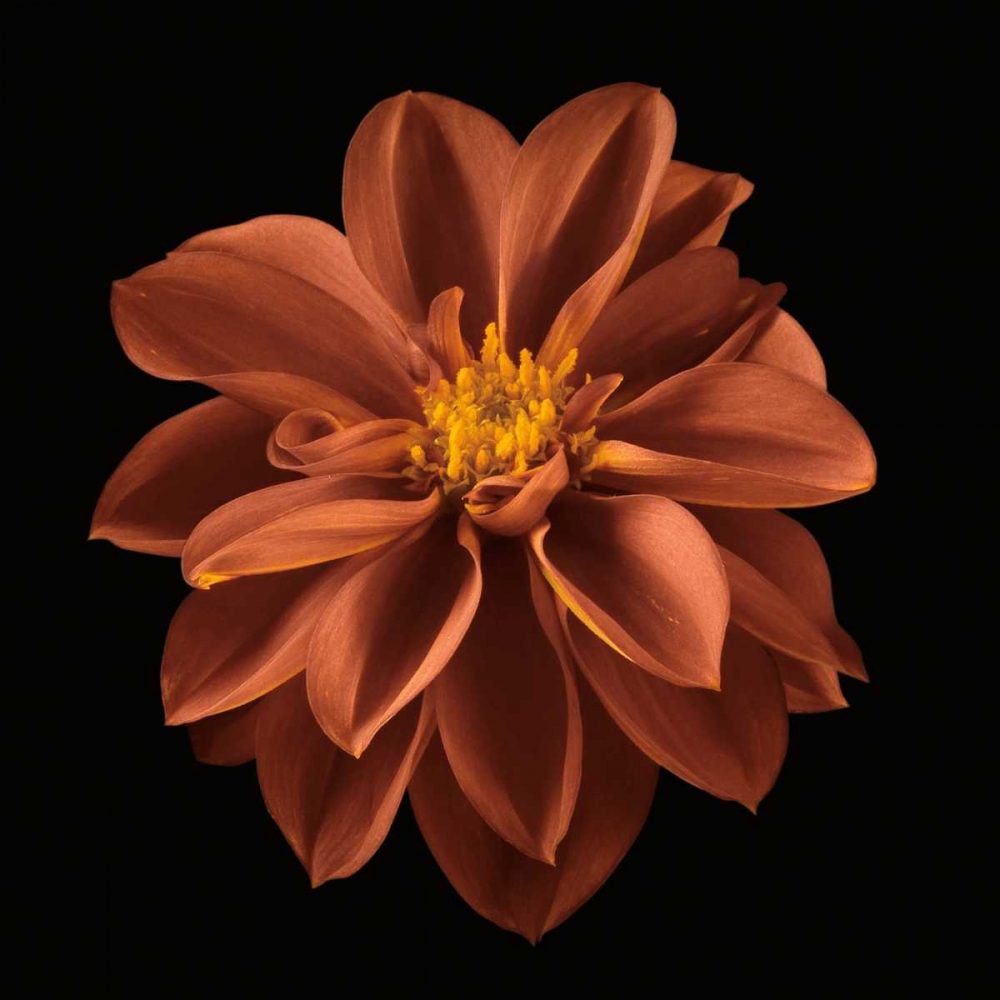 Wall Art Painting id:36444, Name: Four Keeps I , Artist: Frank, Assaf