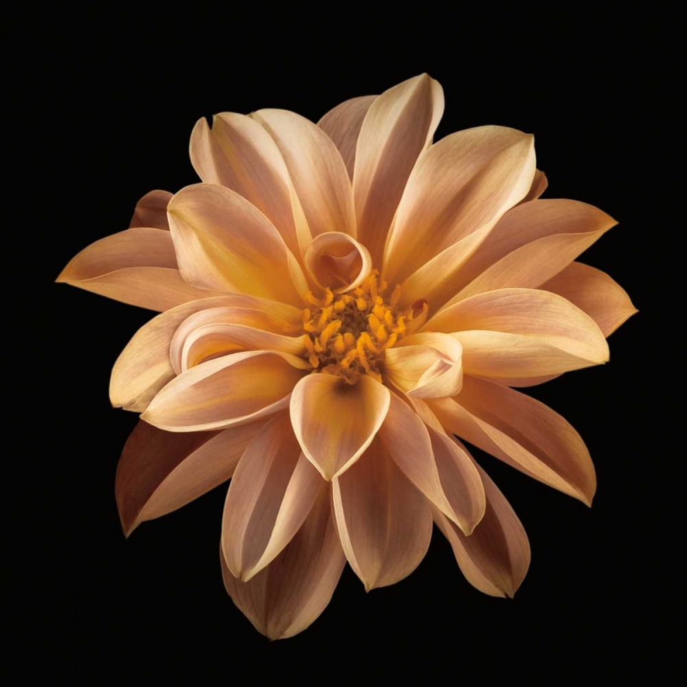 Wall Art Painting id:36445, Name: Four Keeps II, Artist: Frank, Assaf