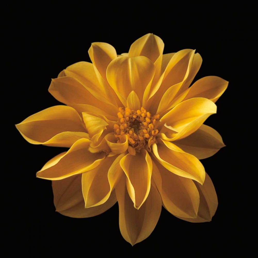 Wall Art Painting id:36446, Name: Four Keeps III, Artist: Frank, Assaf