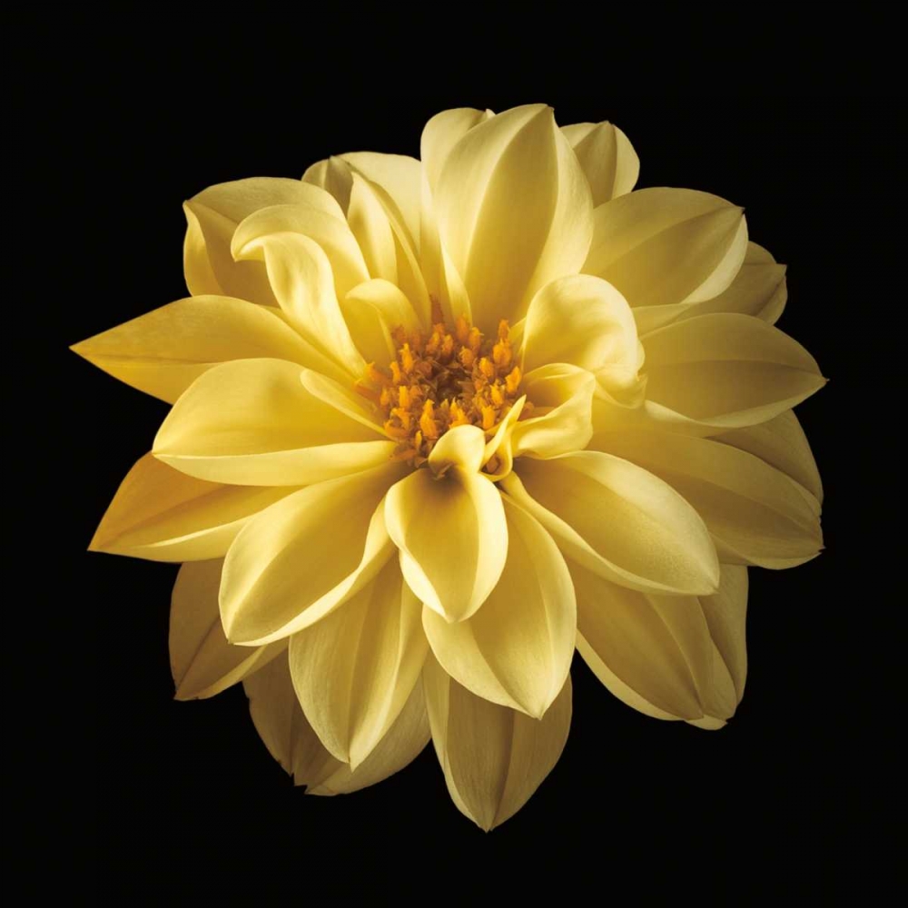 Wall Art Painting id:36447, Name: Four Keeps IV, Artist: Frank, Assaf