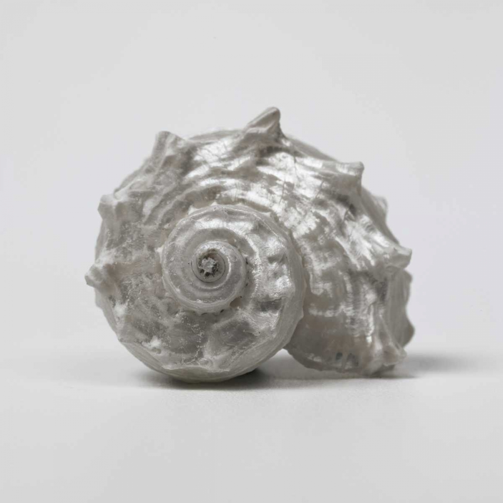 Similar wall art painting: 36486