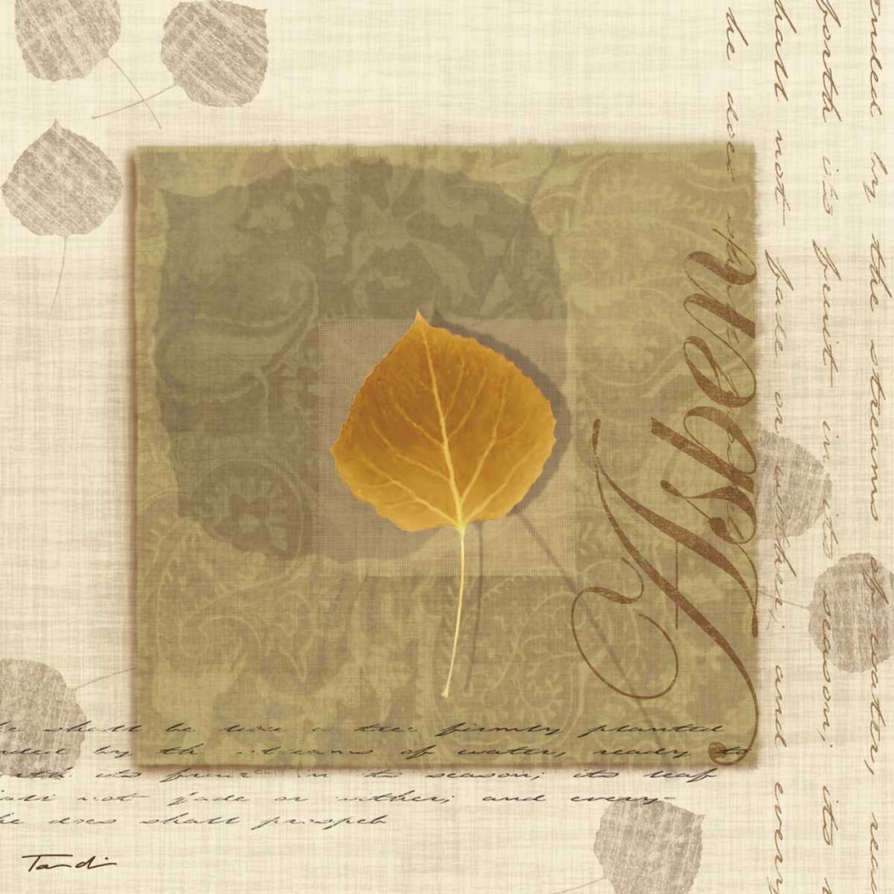 Wall Art Painting id:11976, Name: Aspen, Artist: Venter, Tandi