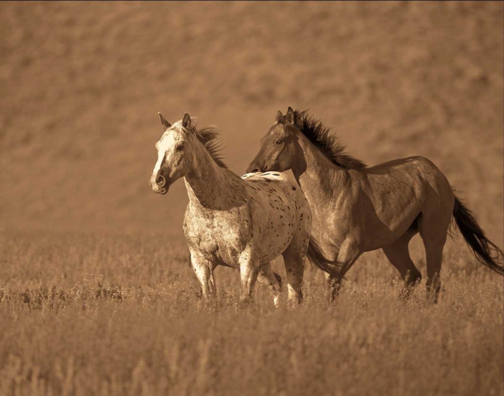 Similar wall art painting: 12967