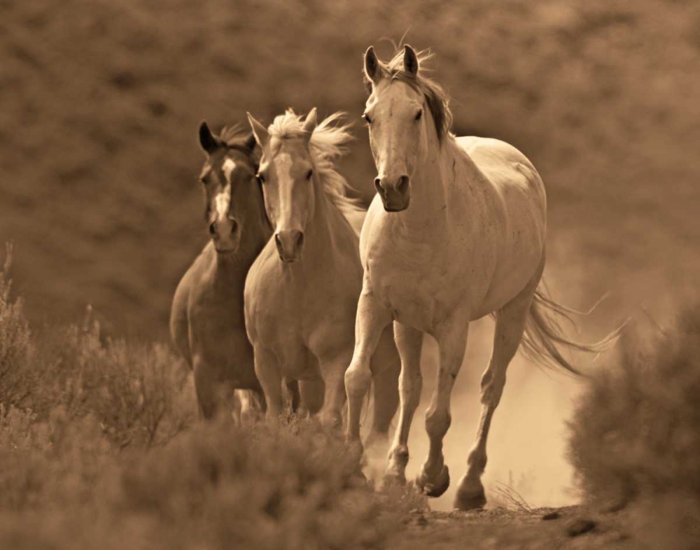 Wall art: Rangers, by Caro, Wendy