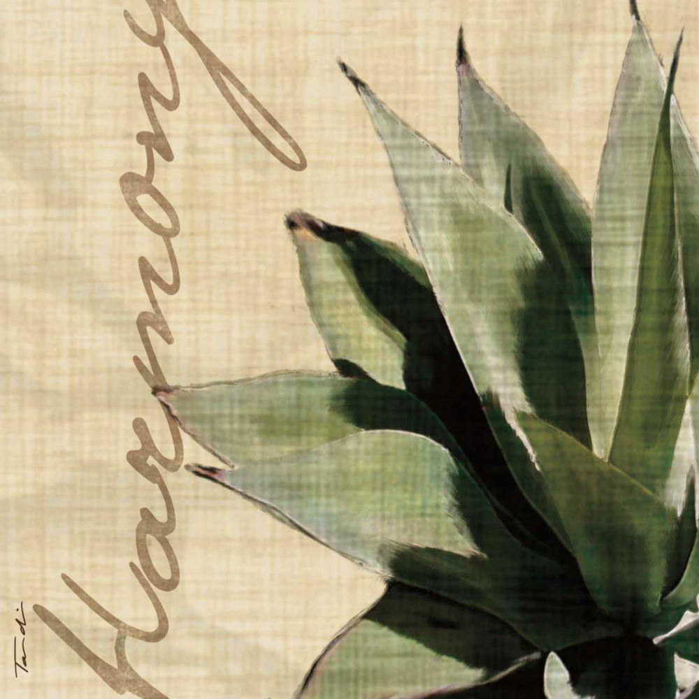 Wall Art Painting id:12970, Name: Harmony, Artist: Venter, Tandi