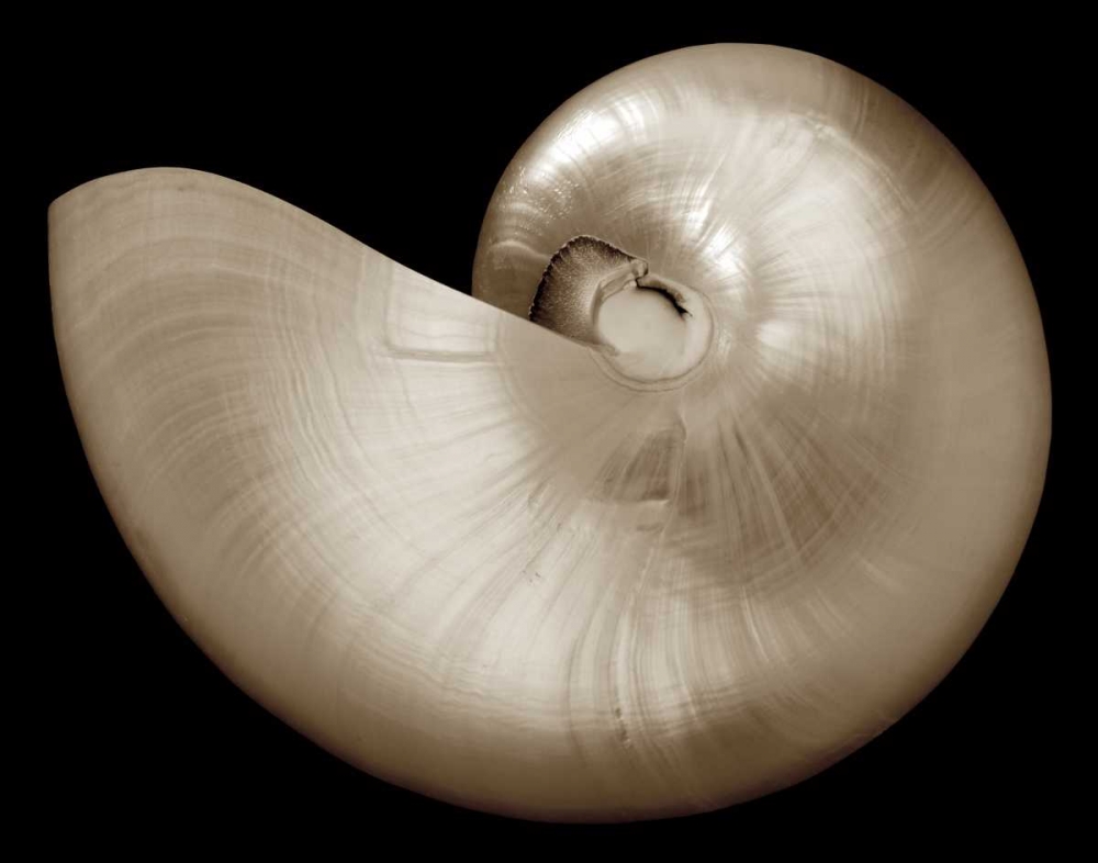 Similar wall art painting: 12982