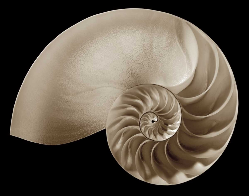 Similar wall art painting: 12983