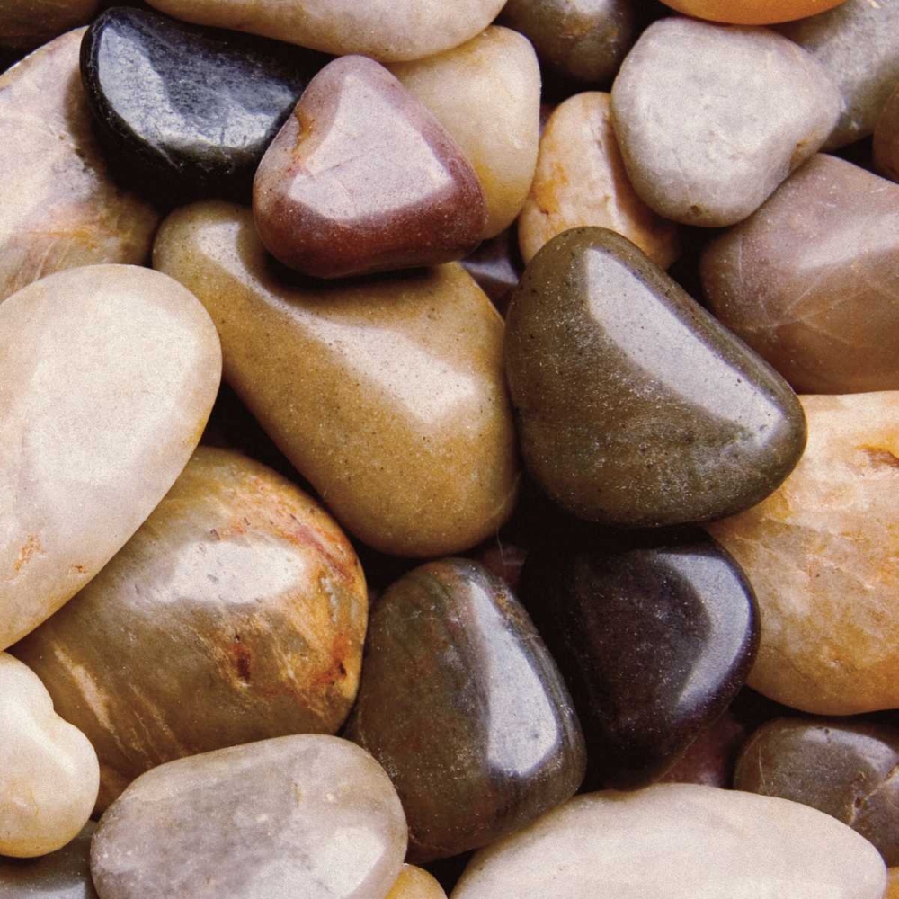 Art Print: River Rocks