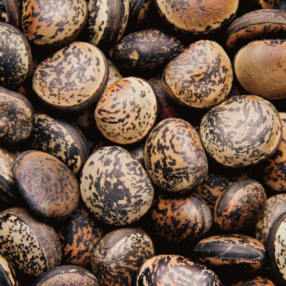 Art Print: Pebble Textures