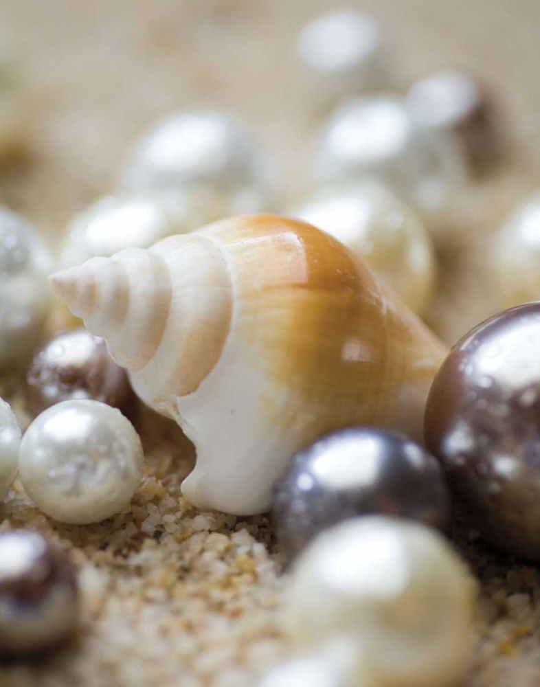 Art Print: Sea Jewels I