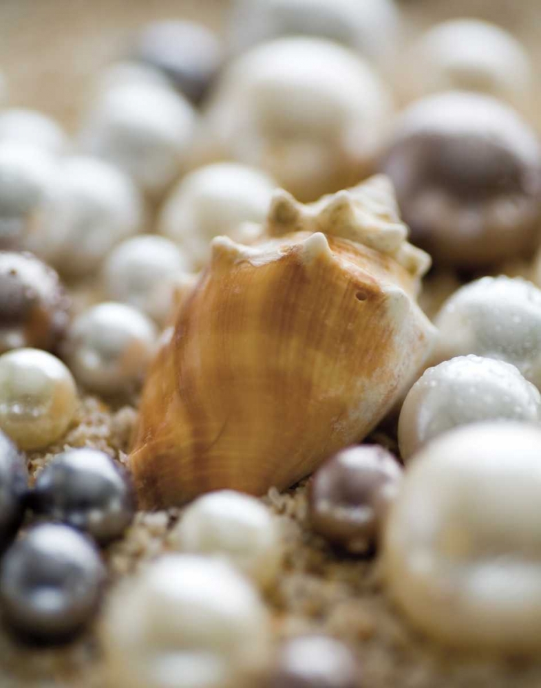 Art Print: Sea Jewels III