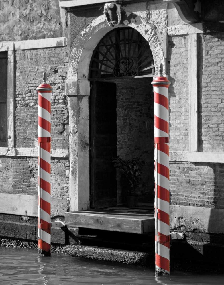 Art Print: A Touch of Color II