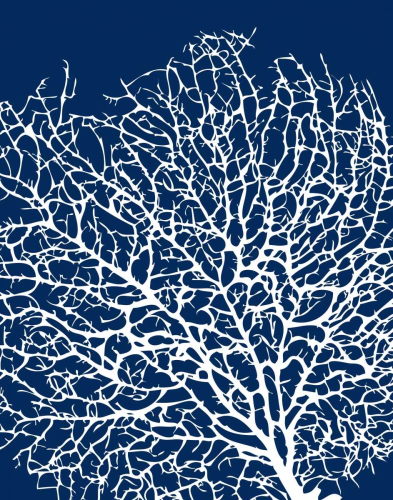 Wall art: Navy Coral I, by Berg, Sabine