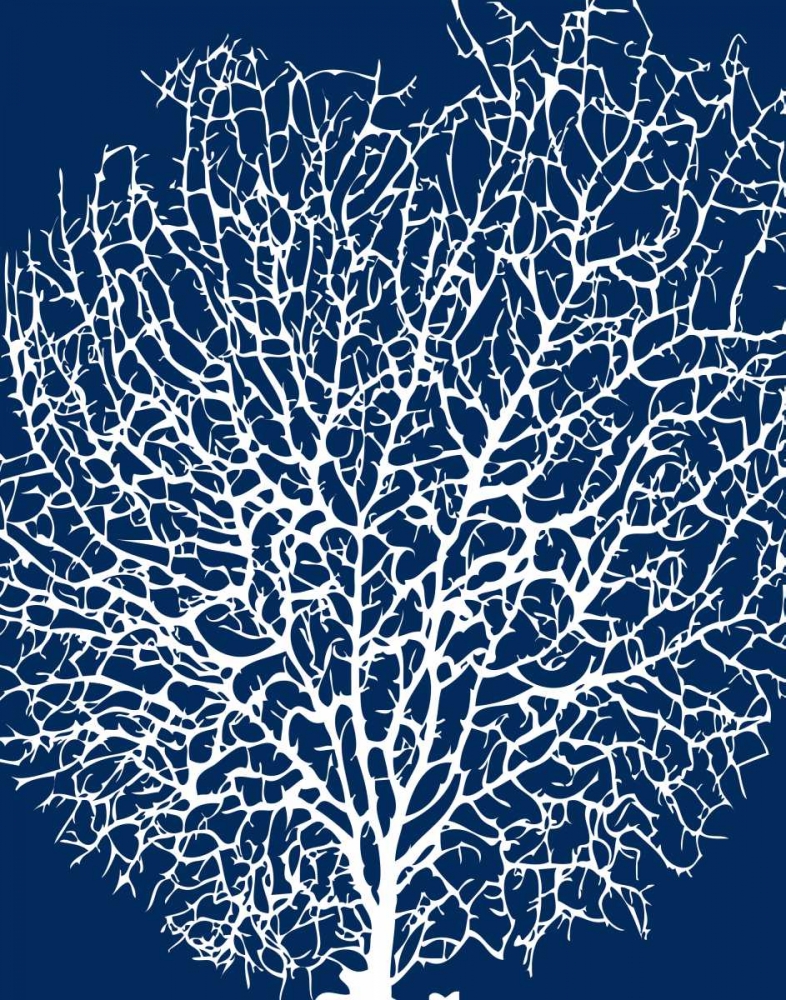 Wall art: Navy Coral II, by Berg, Sabine