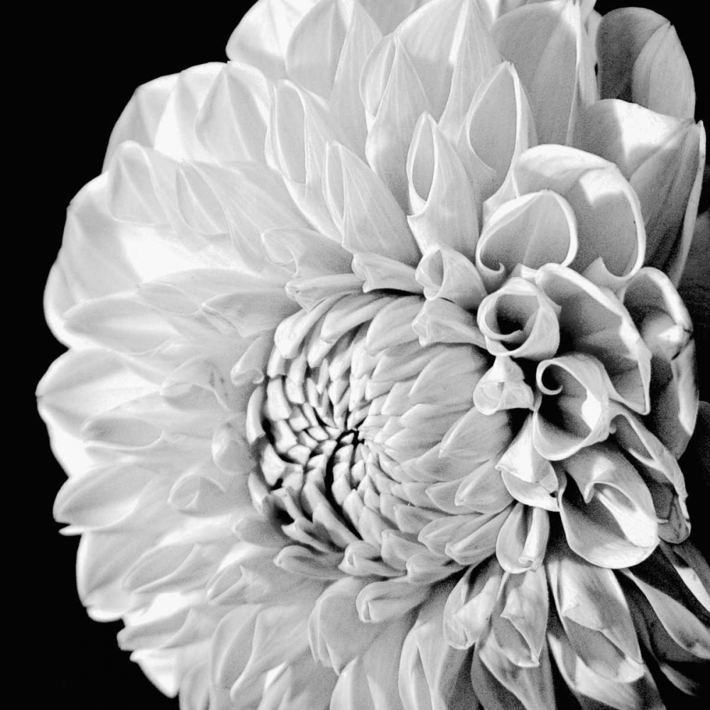 Similar wall art painting: 11056